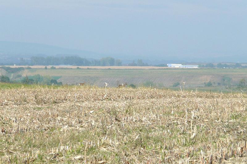 20121013 086.jpg